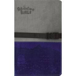 NIV Adventure Bible Two Tone Gray / Blue With Clip Closure (Imitation Leather)