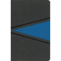 NIV Boys Bible Gray / Blue (Imitation Leather)