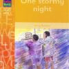 One Stormy Night