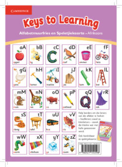 Keys to Learning Game and Alphabet Wall Frieze Afrikaans