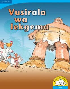 Vusirala wa lekgema Big Book version (Sepedi)