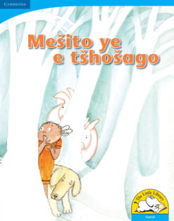 Mesito ye e tshosago Big Book version (Sepedi)