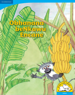 Obhanana beNkawu Encane Big Book version (IsiZulu)