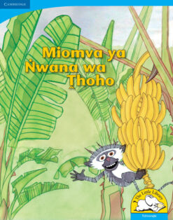 Miomva ya Nwana wa Thoho Big Book Version (Tshivenda)