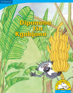 Dipanana tsa Kgabjana Big Book version (Sepedi)