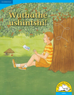 Wuthathe ushintshi! Big Book version (IsiZulu)