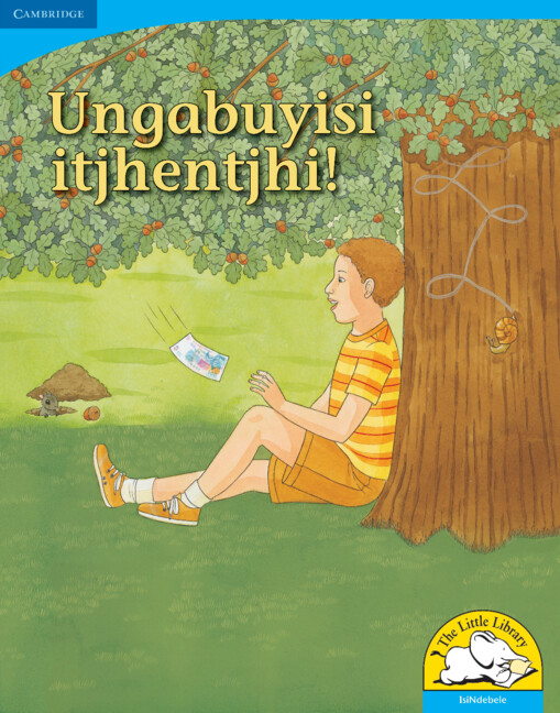 Ungayibuyisi itjhentjhi! Big Book version (IsiNdebele)