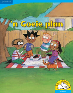 n Goeie plan Big Book version (Afrikaans)