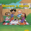 Morero o motle Big Book version (Sesotho)