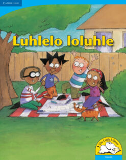 Luhlelo loluhle Big Book Version (Siswati)