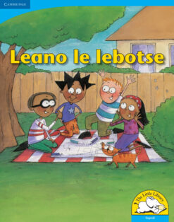 Leano le lebotse Big Book version (Sepedi)