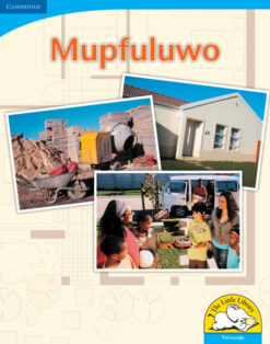 Mupfuluwo Big Book version (Tshivenda)