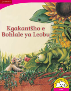 Kgakantsho e Bohlale ya Leobu Big Book version (Sepedi)