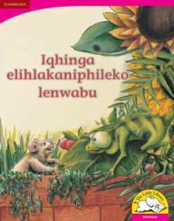 Iqhinga elihlakaniphileko lenwabu Big Book version (IsiNdebele)