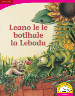 Leano le le botlhale la Lebodu Big Book version (Setswana)