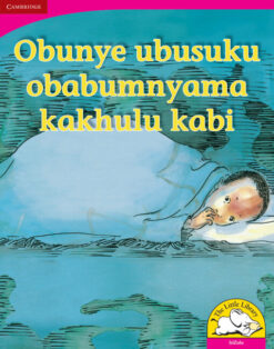 Obunye ubusuku obabumnyama kakhulu kabi Big Book version (IsiZulu)
