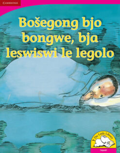 Bosegong bjo bongwe, bja leswiswi le legolo Big Book version (Sepedi)