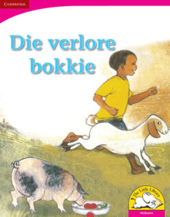 Die verlore bokkie Big Book version (Afrikaans)