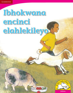 Ibhokwana encinci elahlekileyo Big Book version (IsiXhosa)