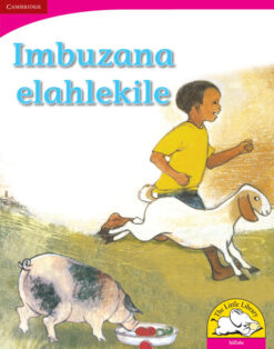 Imbuzana elahlekile Big Book version (IsiZulu)