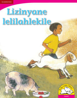 Lizinyane lelilahlekile Big Book version (Siswati)