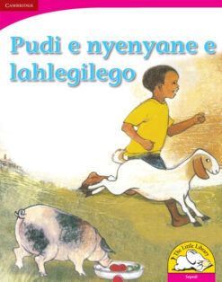 Pudi ye nyenyane ye e lahlegilego Big Book version (Sepedi)