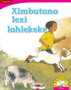 Ximbutana lexi lahlekeke Big Book version (Xitsonga)