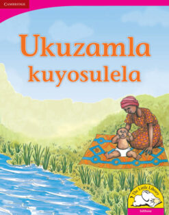 Ukuzamla kuyosulela Big Book version (IsiXhosa)
