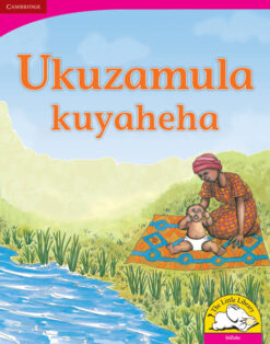 Ukuzamula kuyathelelana Big Book version (IsiZulu)