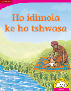 Ho idimola ke ho tshwasa Big Book version (Sesotho)
