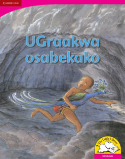 UGraakwa osabekako Big Book version (IsiNdebele)