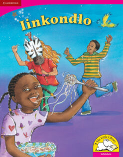 Iinkondlo Big Book version (IsiNdebele)
