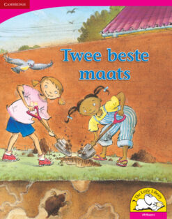 Twee beste maats Big Book version (Afrikaans)