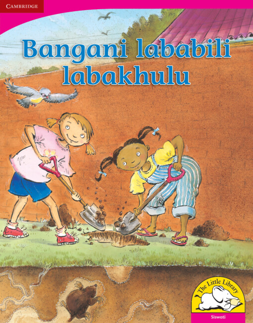 Bangani lababili labakhulu Big Book version (Siswati)