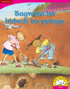 Bagwera ba babedi ba potego Big Book version (Sepedi)