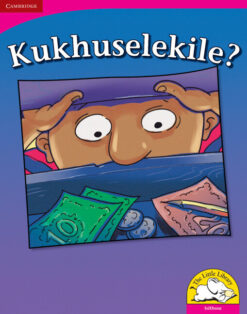Kukhuselekile? Big Book version (IsiXhosa)