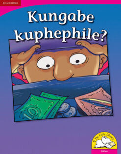 Kungabe kuphephile? Big Book version (IsiZulu)