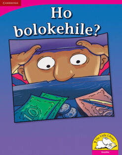 Ho bolokehile? Big Book version (Sesotho)