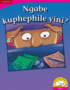Ngabe kuphephile yini? Big Book version (Siswati)