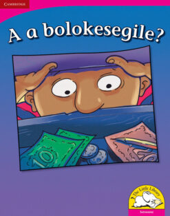A a bolokesegile? Big Book version (Setswana)