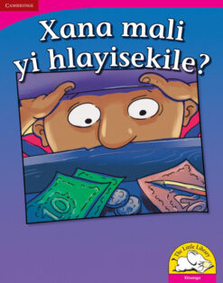 Xana mali yi hlayisekile? Big Book version (Xitsonga)