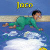 Jaco Big Book Version (Afrikaans)