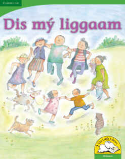 Dis my liggaam Big Book Version (Afrikaans)