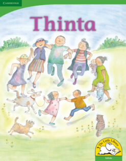 Thinta Big Book Version (IsiZulu)