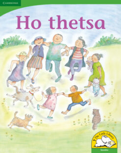 Ho thetsa Big Book version (Sesotho)