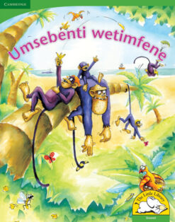 Umsebenti wetimfene Big Book version (Siswati)