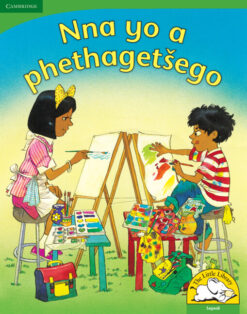 Nna yo a phethagetsego Big Book version (Sepedi)