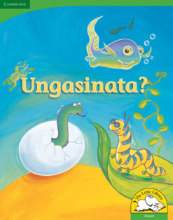 Ungasinata? Big Book version (Siswati)
