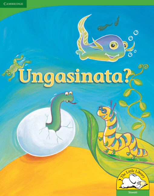 Ungasinata? Big Book version (Siswati)