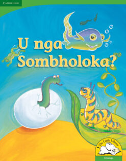 U nga sombholoka? Big Book version (Xitsonga)